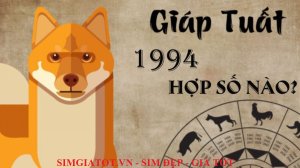 NĂM 1994 HỢP SIM NÀO?