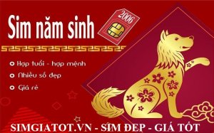 Cách chọn sim phong thủy hợp tuổi 2006 cực đơn giản